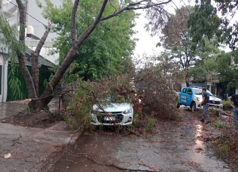 La Tormenta Provoc Voladuras De Techos Cables Cortados Y Rboles