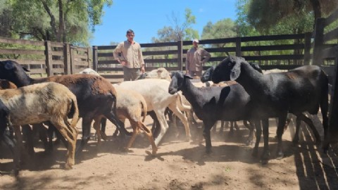 El Gobierno provincial fortalece a los pequeños productores con asistencia técnica y desarrollo territorial