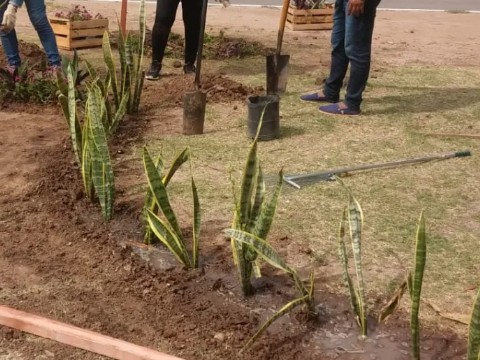 El Plan Sáenz Peña Sustentable y Circular avanza con la forestación de la avenida 33