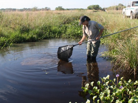 Guardaparques advierten la alarmante situación en la provincia