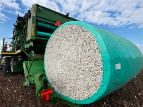 La Justicia abrió el concurso de acreedores de la firma agrícola Italar SRL