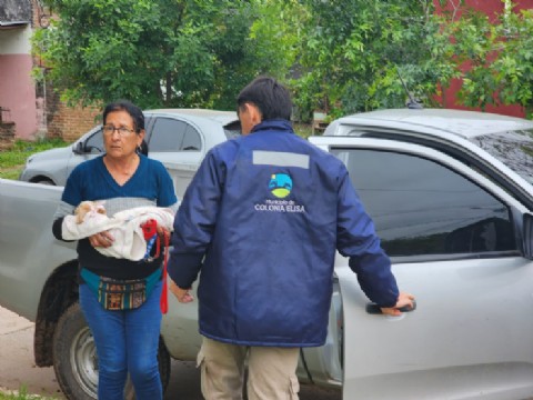 Con apoyo de la Municipalidad, se realizan operativos de esterilización en Colonia Elisa