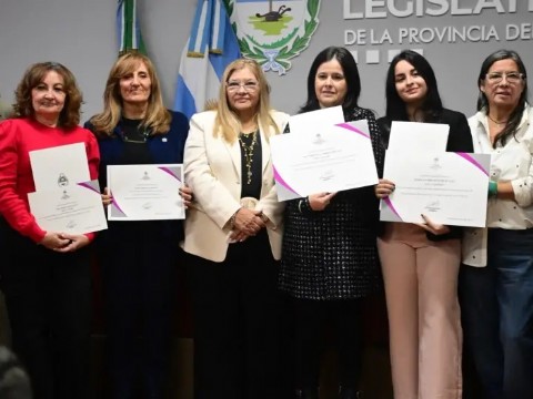 La Legislatura entregó por primera vez el premio trienal a la Mujer Científica