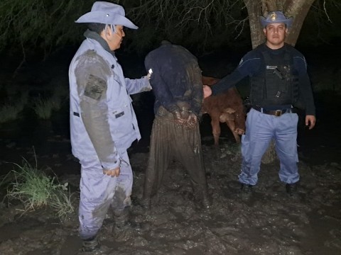 Frustraron un intento de abigeato en zona boscosa de La Verde