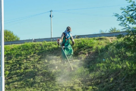 Realizan operativo de mantenimiento en espacios verdes de Barranqueras