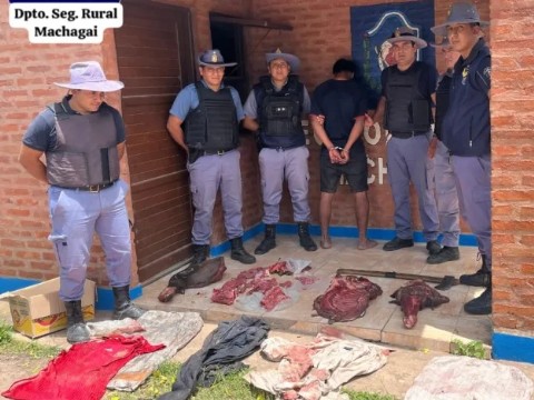 Detuvieron a un joven acusado de faenar un caballo enfermo en Machagai