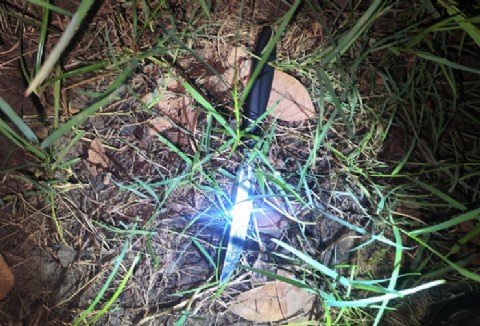 Asesinaron a un joven en una fiesta de 15 en Villa Angela y la acusada se entregó