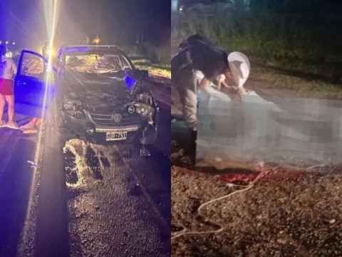 Un automóvil chocó contra un caballo suelto en Machagai