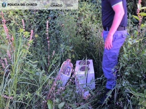Recuperaron elementos robados escondidos en un baldío de Resistencia