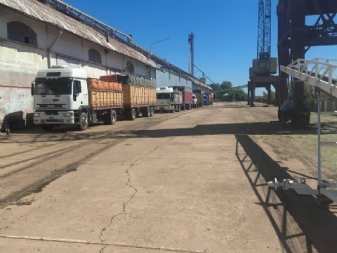 El Puerto de Barranqueras inició el año con la recepción de 150 toneladas de semillas de girasol