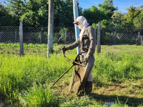 El Municipio de Colonia Elisa refuerza operativos para mantener la ciudad limpia y ordenada