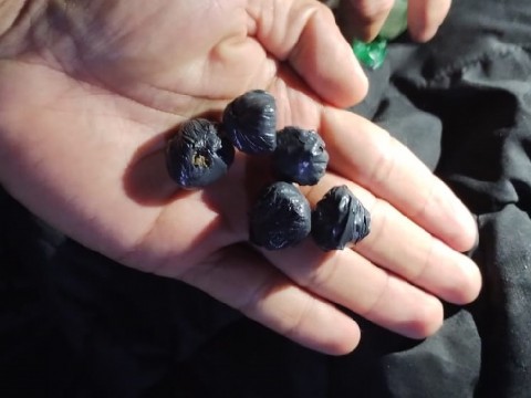 Detuvieron a un menor con bochitas de marihuana en La Tigra