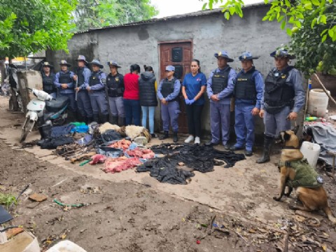Quitilipi: detienen a dos mujeres tras el hallazgo de carne faenada y equinos en una vivienda