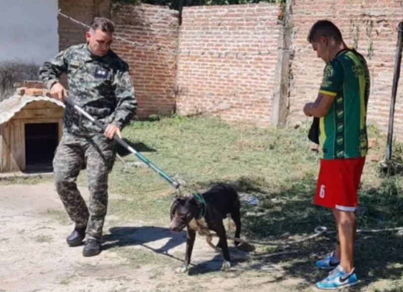 Horacio Cornut: "Ningún perro nace malo ni fue diseñado para atacar por naturaleza"
