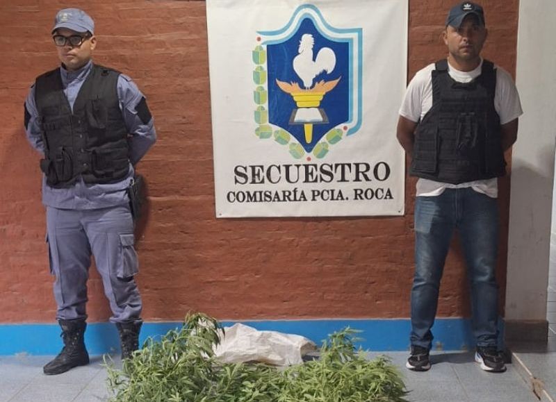 Un hombre arrojó tres plantas de marihuana y escapó de un control policial en Presidencia Roca