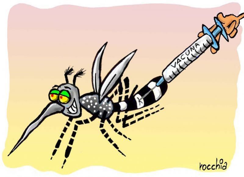 Salud amplió el rango etario para la aplicación de la vacuna contra el dengue