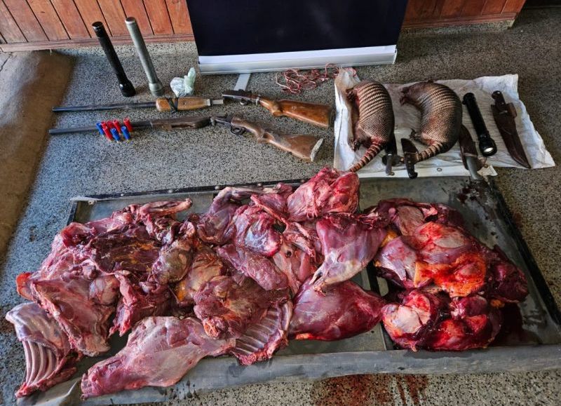 Secuestraron animales faenados en supuesta caza ilegal en distintos puntos de la provincia