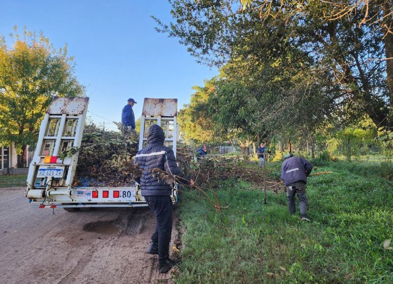 El Municipio de Colonia Elisa realiza trabajos de poda y mantenimiento en la Escuela 114