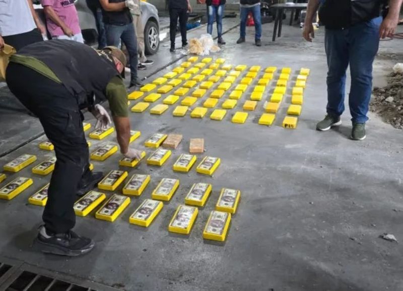 Fontana: secuestraron 95 panes de cocaína valuados en dos mil millones de pesos en bloques de cemento