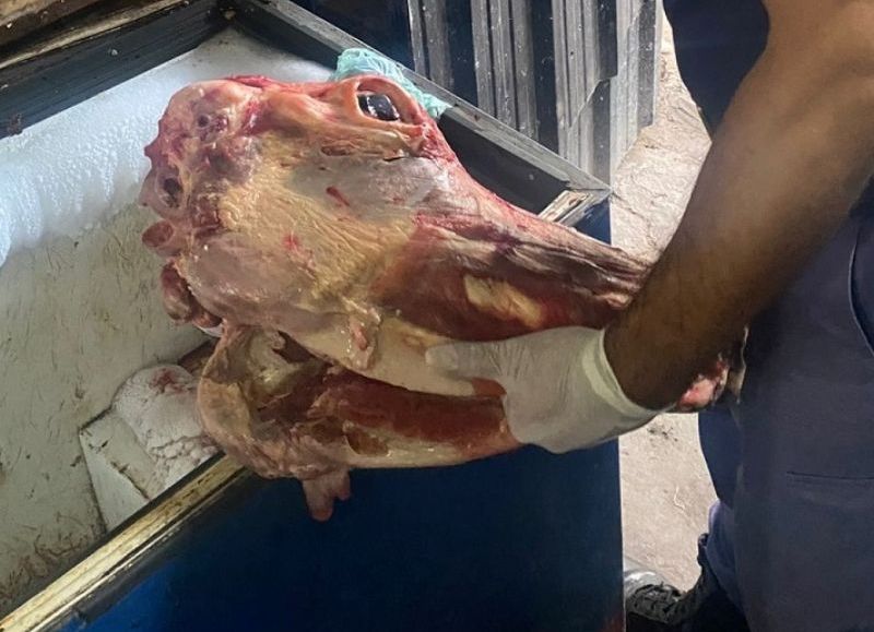 Secuestraron más de 180 kilos de carne de dudosa procedencia en Colonia Elisa