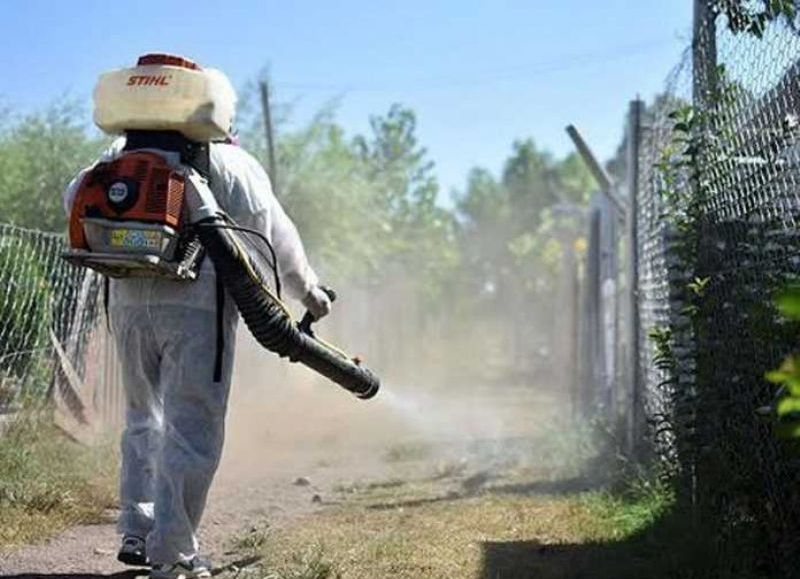 Chaco registra 8.686 casos de dengue