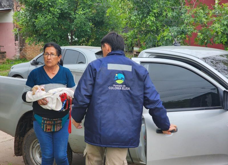 Con apoyo de la Municipalidad, se realizan operativos de esterilización en Colonia Elisa