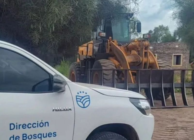 Frenaron un desmonte ilegal en Las Piedritas, e incautaron una maquinaria
