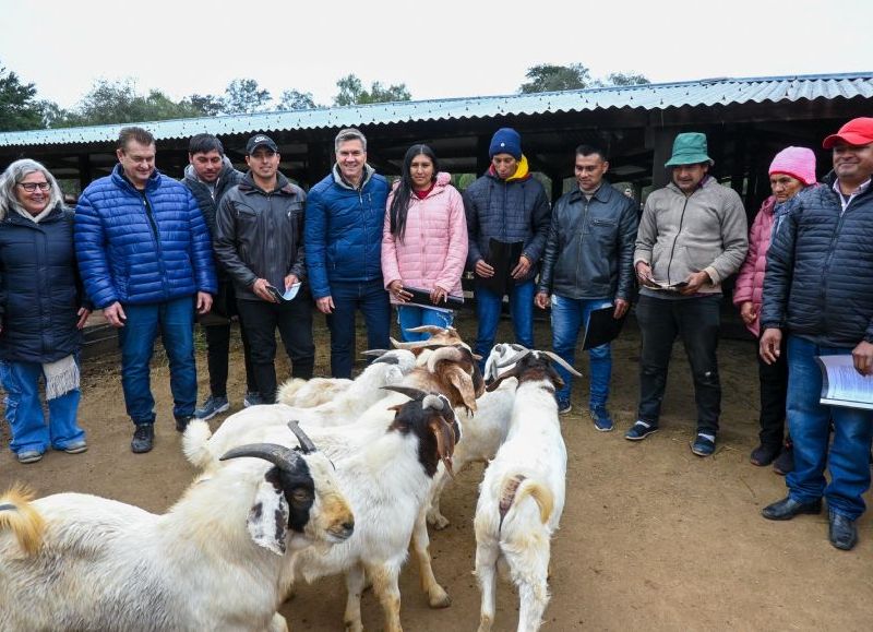 El Gobierno provincial entregó reproductores caprinos en El Sauzalito