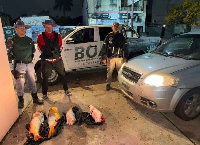 Recuperaron un caballo robado, secuestraron armas y decomisaron fauna silvestre en la provincia
