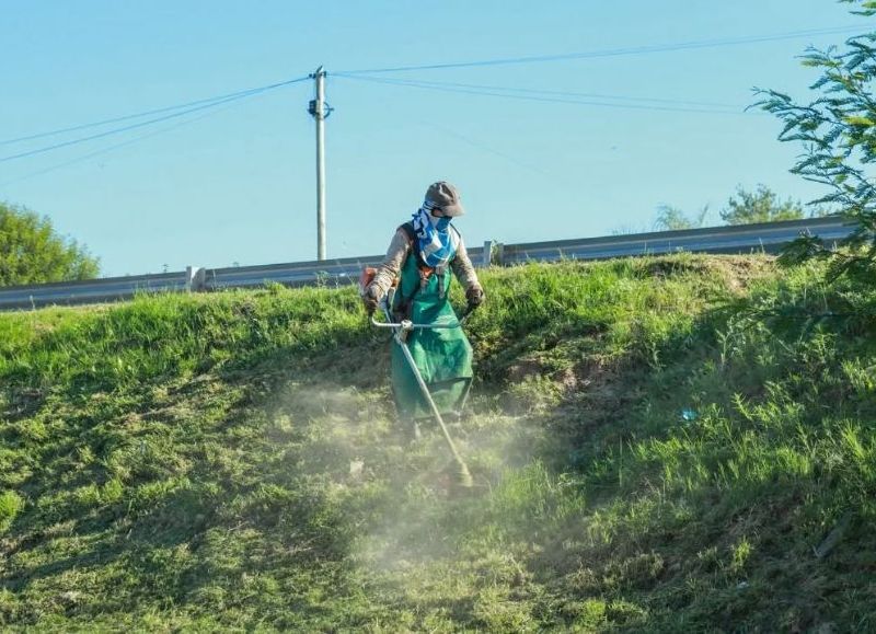Realizan operativo de mantenimiento en espacios verdes de Barranqueras