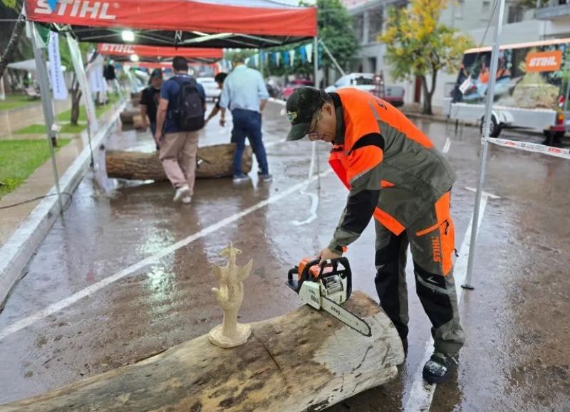 Sáenz Peña ya vive el Encuentro Internacional de Escultores
