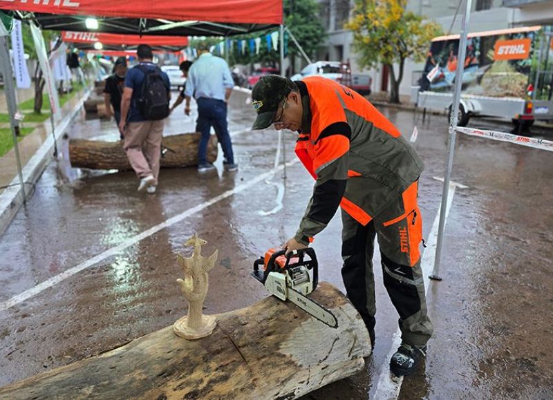 Sáenz Peña ultima detalles para el Encuentro Internacional de Escultores