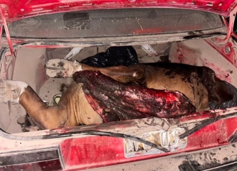 Demoraron a un joven tras hallar carne vacuna en su auto en la zona rural de Villa Ángela