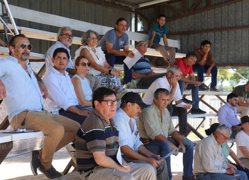 Machagai: se realizó el Remate asistido para pequeños y medianos productores