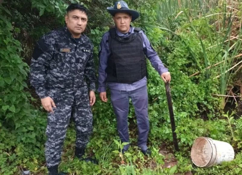 Atraparon a dos personas por el robo del ciervo del Complejo Ecológico de Sáenz Peña