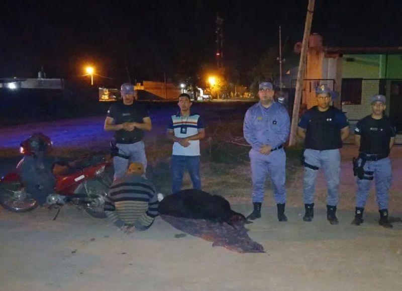 La Leonesa: detuvieron a un hombre con un ternero faenado ilegalmente