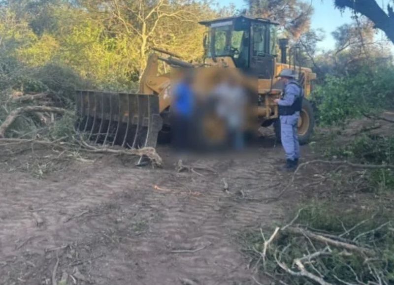 Frenaron un desmonte no autorizado en un predio privado en Santa Sylvina