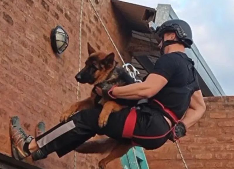 VIDEO | Horacio Cornut: "Ningún perro nace malo ni fue diseñado para atacar por naturaleza"
