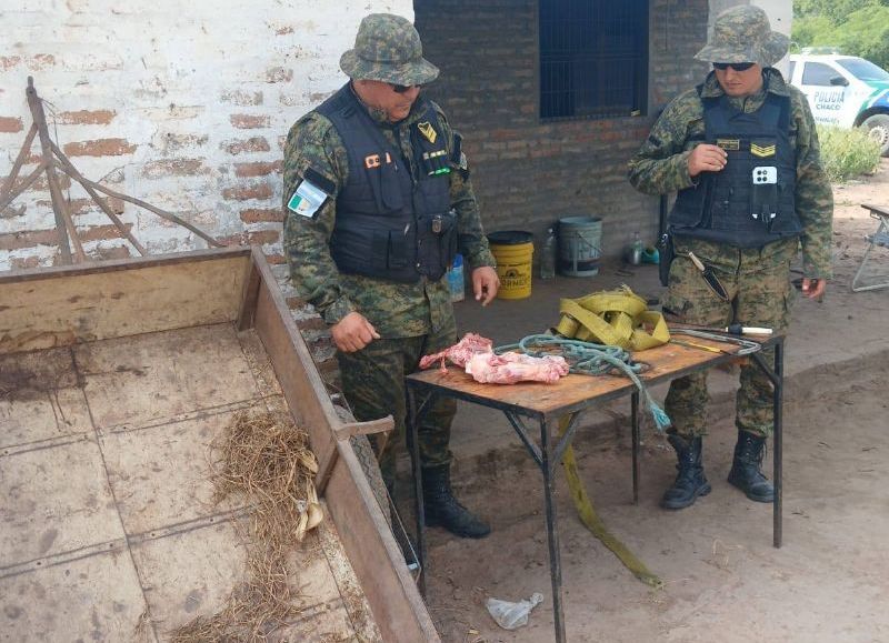 Investigaban un robo de ganado y descubrieron un vivero de marihuana en una vivienda de General Pinedo