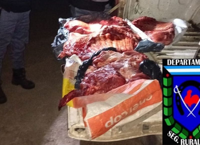 Decomisaron 77 kilos de carne transportada de manera ilegal en el interior