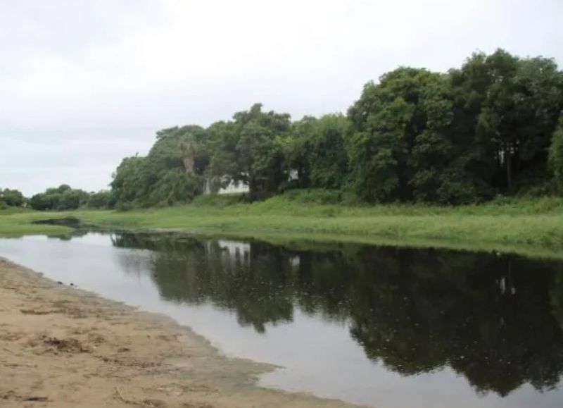 Extrajeron más de 300 kilos de pescado podrido del río Negro
