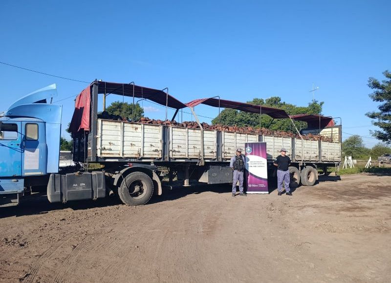 Secuestraron un camión con más de 21 toneladas de leña y detuvieron a dos hombres en Castelli