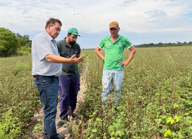 El Gobierno provincial endurece controles contra el uso de herbicidas prohibidos en Las Breñas