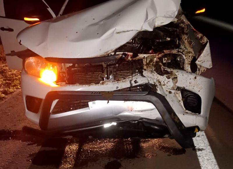Una camioneta chocó un caballo en medio de la noche sobre la Ruta 16, a la altura de Los Frentones