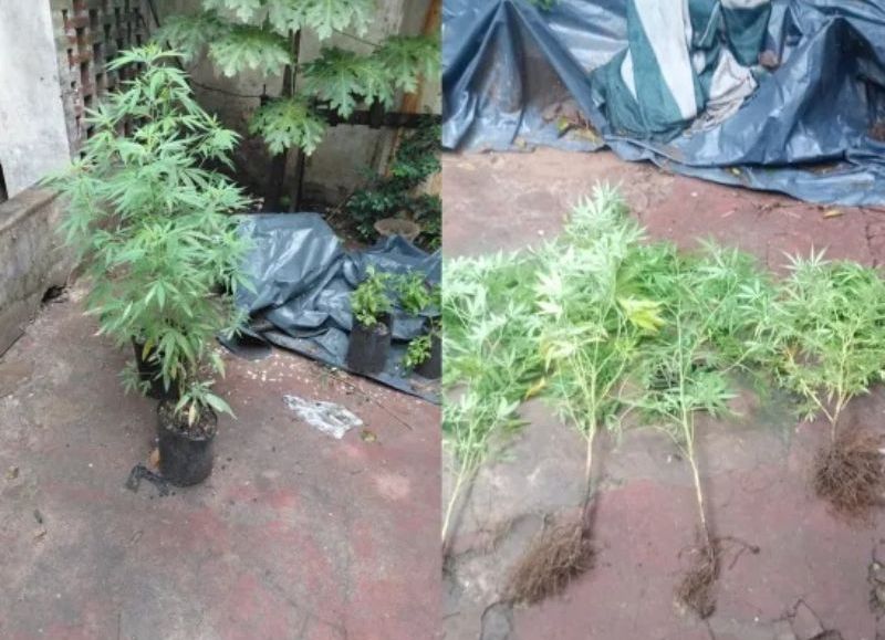 Resistencia: solicitaron asistencia porque un hombre convulsionaba, pero hallaron armas y marihuana