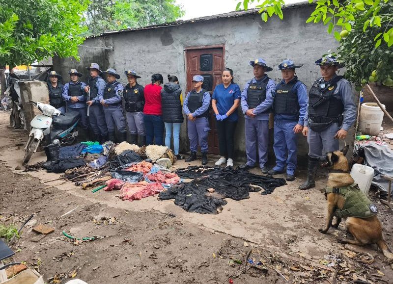 Quitilipi: detienen a dos mujeres tras el hallazgo de carne faenada y equinos en una vivienda